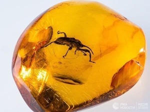Незаменимый источник информации для учёных